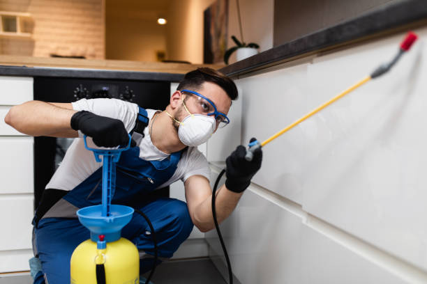 Best Pest Control for Homes  in Spearville, KS