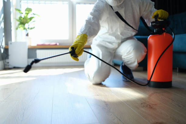 Best Termite Control Services  in Spearville, KS