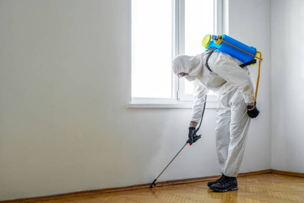 Pest Control for Restaurants in Spearville, KS