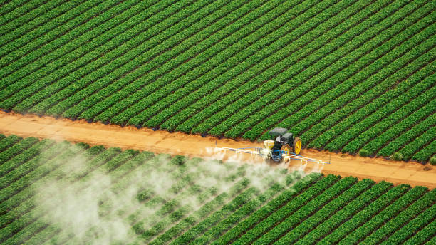 Best Pest Control Near Me  in Spearville, KS