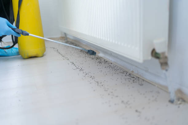 Best Affordable Pest Control Services  in Spearville, KS