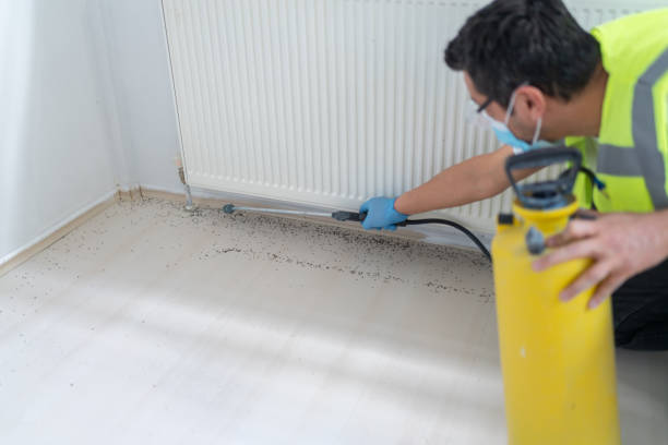 Best Pest Inspection Near Me  in Spearville, KS