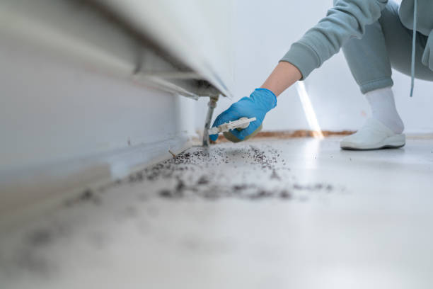 Best Bed Bug Extermination  in Spearville, KS